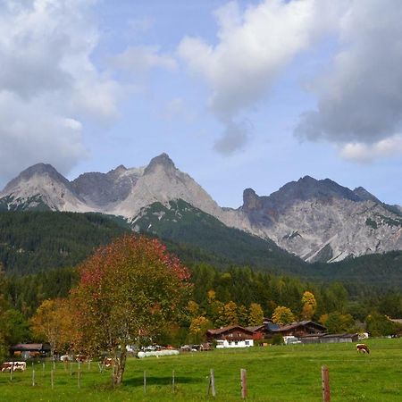 Appartement Herzog Saalfelden Buitenkant foto